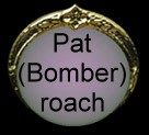 Pat (Bomber) roach